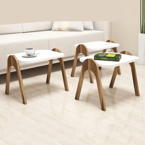 Set măsuțe de cafea Parid (Nuc + Alb). 1071848