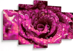 Tabloul cu floarea trandafirului roz (150x105 cm)