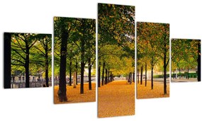Tablou cu alee cu copaci în toamnă (125x70 cm), în 40 de alte dimensiuni noi