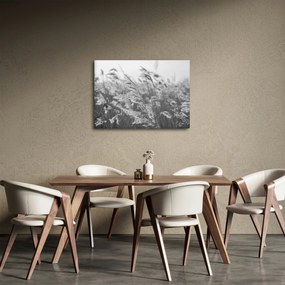 Tablou - Iarba în vânt (70x50 cm)