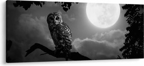 Tablou - Bufniță de noapte, alb și negru (120x50 cm)