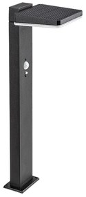 Lampa solara cu senzor de miscare, IP54 Lasset H-50cm