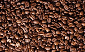 Fototapet - Boabe de cafea (254x184 cm)