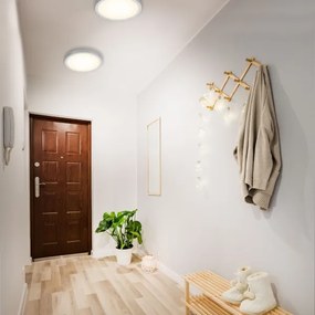 Plafonieră LED FIRE LED/24,5W/230V 3000K Briloner 7143-014