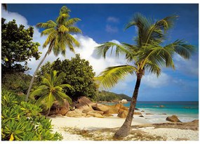 Fototapet natura - Plaja Praslin Seychelle