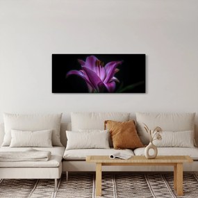 Tablou crinul (120x50 cm)
