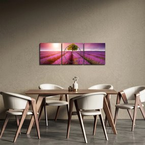 Tablou câmp cu lavandă (cu ceas) (90x30 cm)