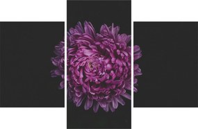 Tablou cu floare violetă (90x60 cm)