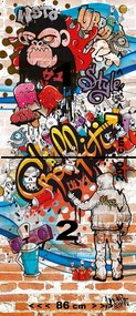 Fototapeta pentru usa GRAFFITI 86x200 cm