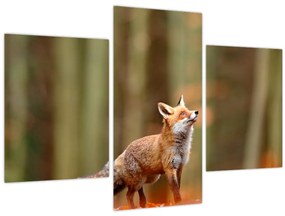 Tablou - Vulpe (90x60 cm)