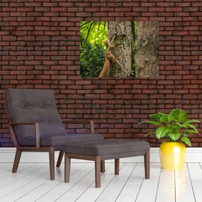 Tablou - Veverița (70x50 cm)