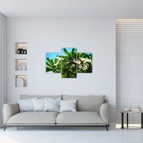 Tablou - Plumeria (90x60 cm)