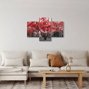 Tablou - Copacii roșii, Central Park, New York (90x60 cm)