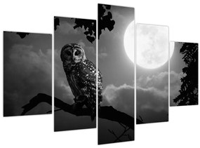 Tablou - Bufniță de noapte, alb și negru (150x105 cm)