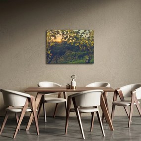 Tablou - Podgorii (70x50 cm)