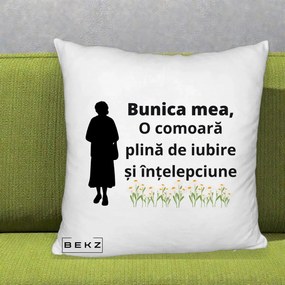 Cadou pentru Bunica - Perna Personalizata Bunica Mea Comoara Iubire Intelepciune Silueta cu Nepoata, 40x40 cm, Alb Pufos, Husa Detasabila, Perna Inclusa, BEKZ®