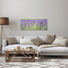 Tablou - Lavandă în câmp (120x50 cm)