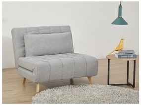 Fotoliu extensibil gri BILLY