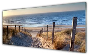 Tablouri acrilice Plaja Potecă Peisaj Brun
