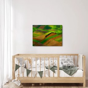 Tablou - Lan, luncile (70x50 cm)