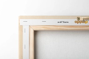 Tablou frunze minimaliste Peach Fuzz