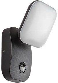 Aplică LED de exterior cu senzor Rabalux 77058 ODIEL LED/12W/230V IP44