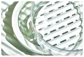 Recipient pentru alimente iDesign ID Fresh, Ø 18,5 cm