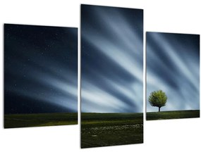 Tablou -Aurora boreală (90x60 cm)