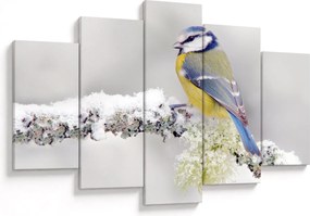 Tablou - Tit albastru în pădure (150x105 cm)