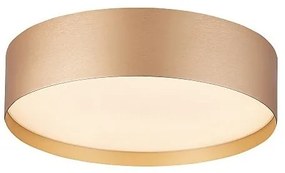 Palnas 61004624 - Plafonieră LED SOFIE LED/50W/230V