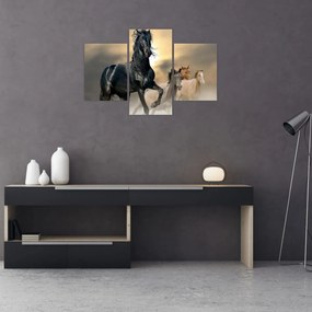 Tablou - Cai (90x60 cm)