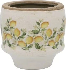 Ghiveci Limone Blossom cu lămâi și flori
