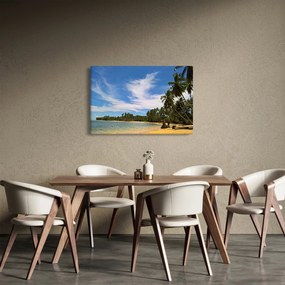 Tablou cu plajă (90x60 cm)