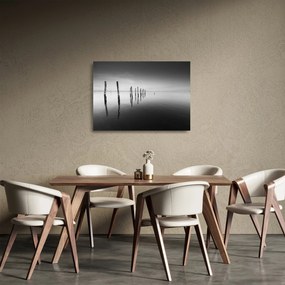 Tablou pe sticlă cu nivelul de lac alb negru (70x50 cm)