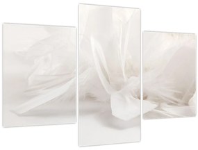 Tablou - Pană (90x60 cm)