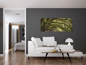 Tablou - Oaks Avenue, Charleston, Carolina de Sud, SUA (120x50 cm)