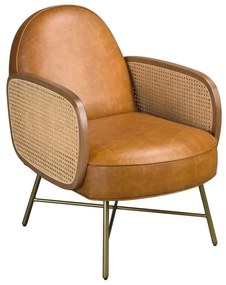 Fotoliu design LUX, Ratan, Piele Naturala 5162