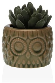 Planta decorativa din ceramica, plastic 10.16X7.62X7.62