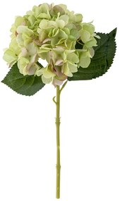 Plantă artificială (înălțime 36 cm) Hydrangea – Bloomingville