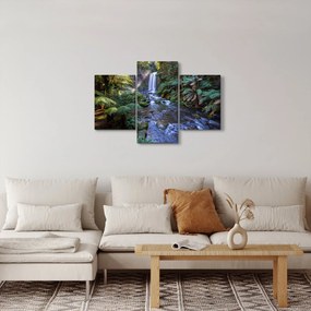 Tablou cu pădurea ploilor din Austalia (90x60 cm)