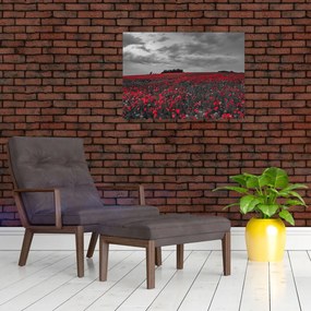 Tablou cu maci (70x50 cm)