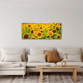 Tablou - Floarea-soarelui (120x50 cm)
