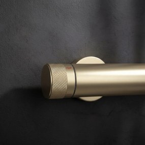 Set dus Rea Rivo Brush Gold