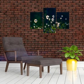 Tablou - Iarbă (90x60 cm)