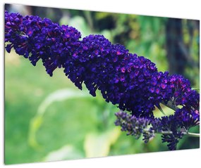 Tablou cu floare albastră (90x60 cm)