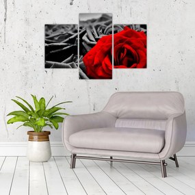 Tablou - Trandafir (90x60 cm)