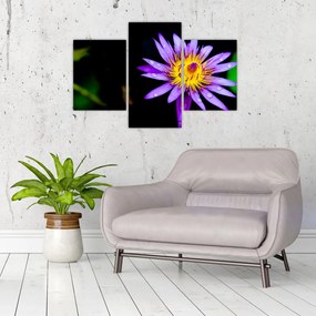 Tablou cu floare (90x60 cm)