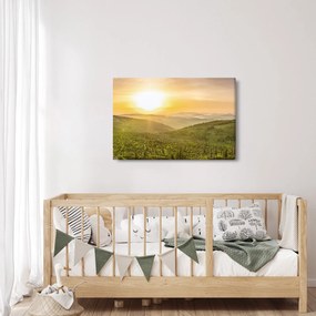 Tablou panoramatic (90x60 cm)