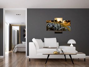 Tablou tigrul dormind (90x60 cm)