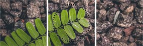 Tablou cu planta verde (cu ceas) (90x30 cm)